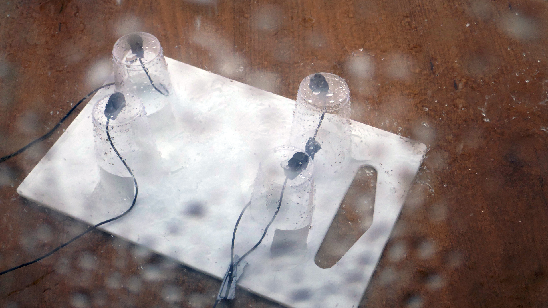 2022-04-23 10Uhr30 Das Kleine Regen Rhythmus Orchester - Plastebecher (Audio, Foto)